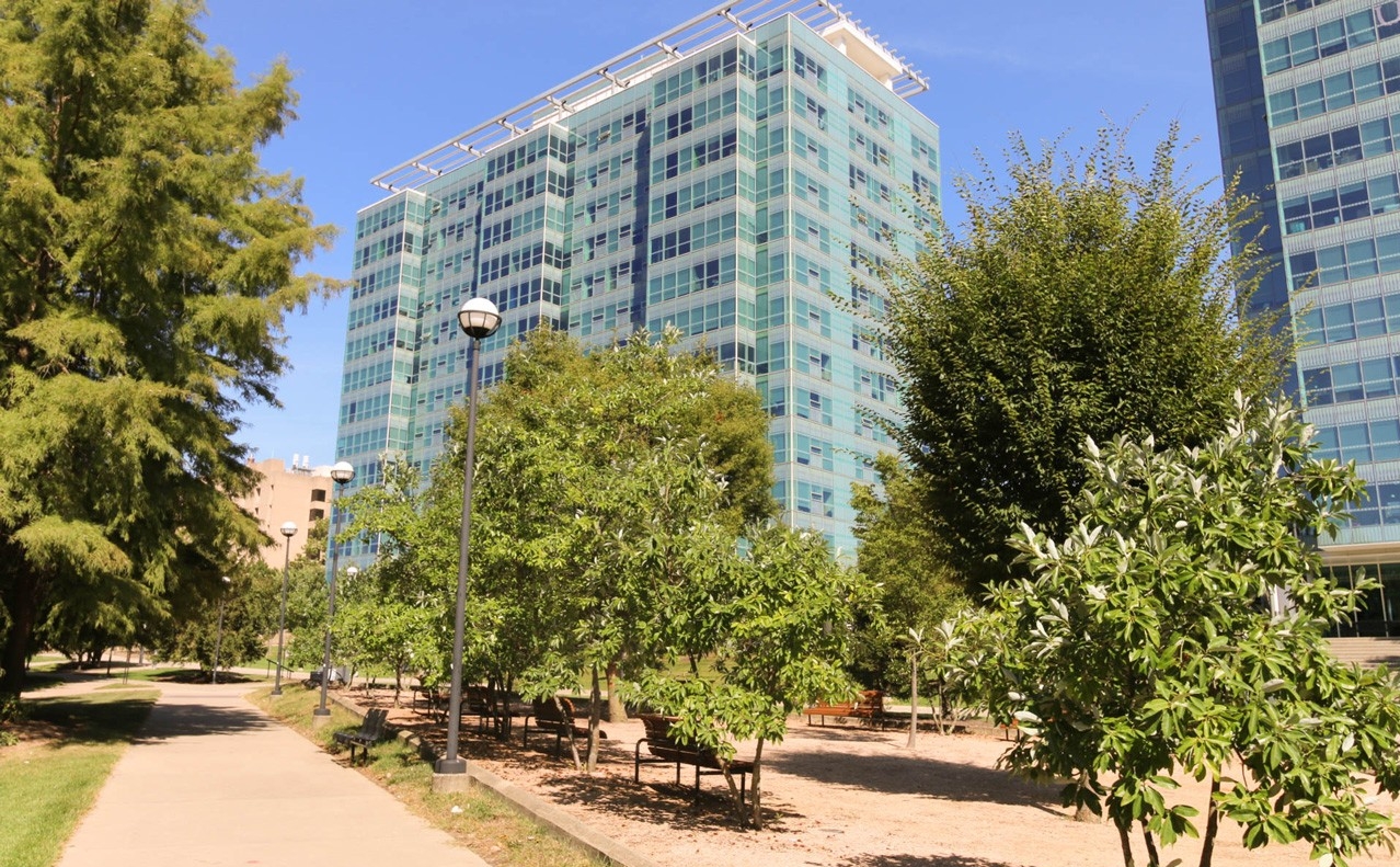 Exterior of Morgens Hall. There is a pathway with light poles cutting between a grass area with trees and a wood chip area with benches in the foreground.
