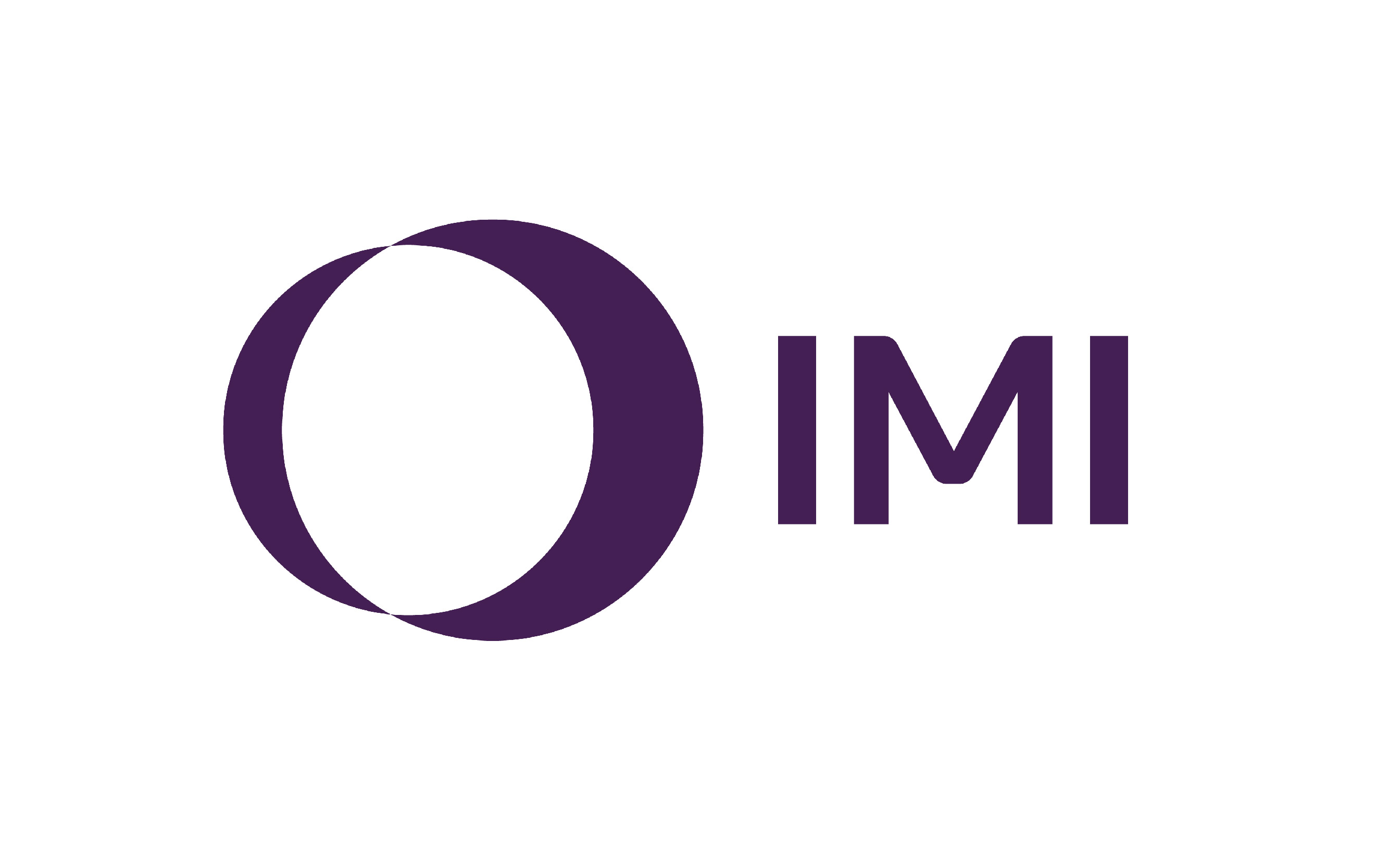 IMI Logo