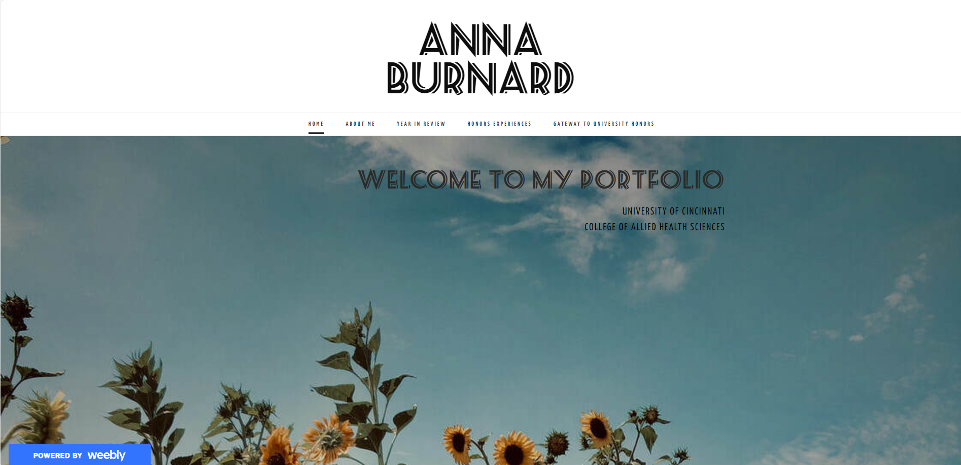Anna's portfolio