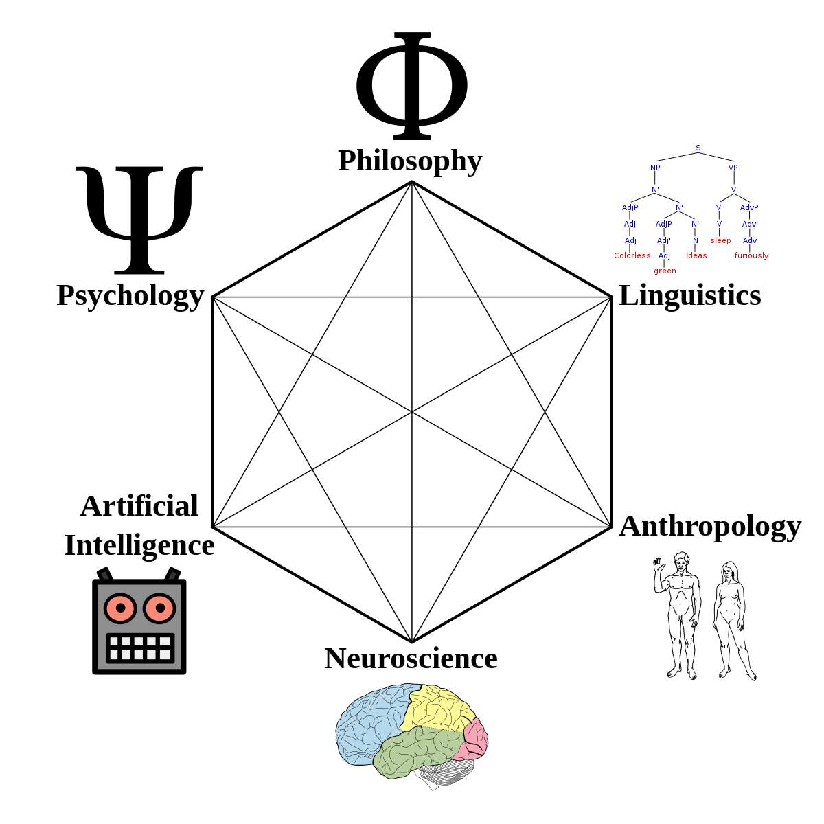 Cognitive Science Hexagon Chart: Linguistics, Philosophy, Psychology, Artificial Intelligence, Neuroscience, and Anthropology