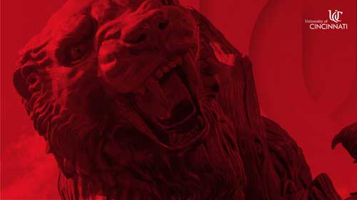 Bearcats statue desktop wallpaper