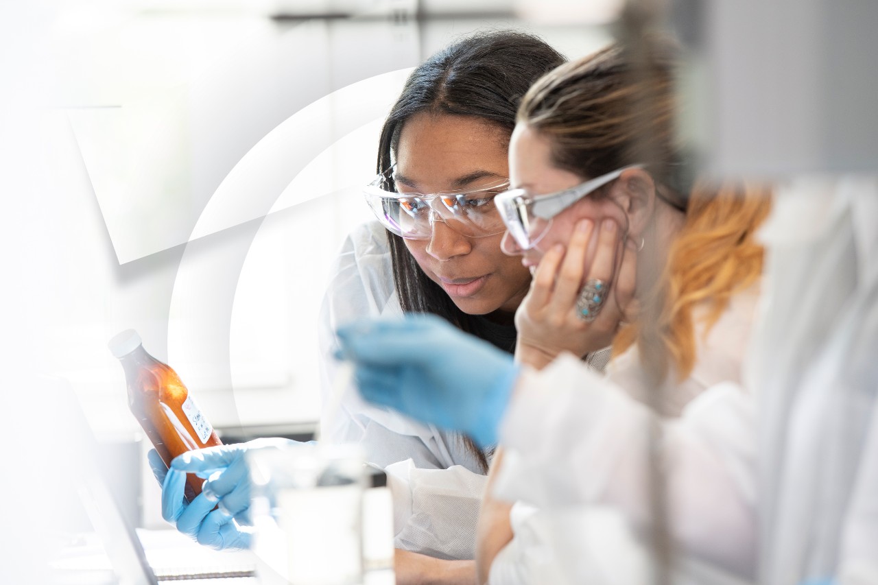 Researchers at work in a lab