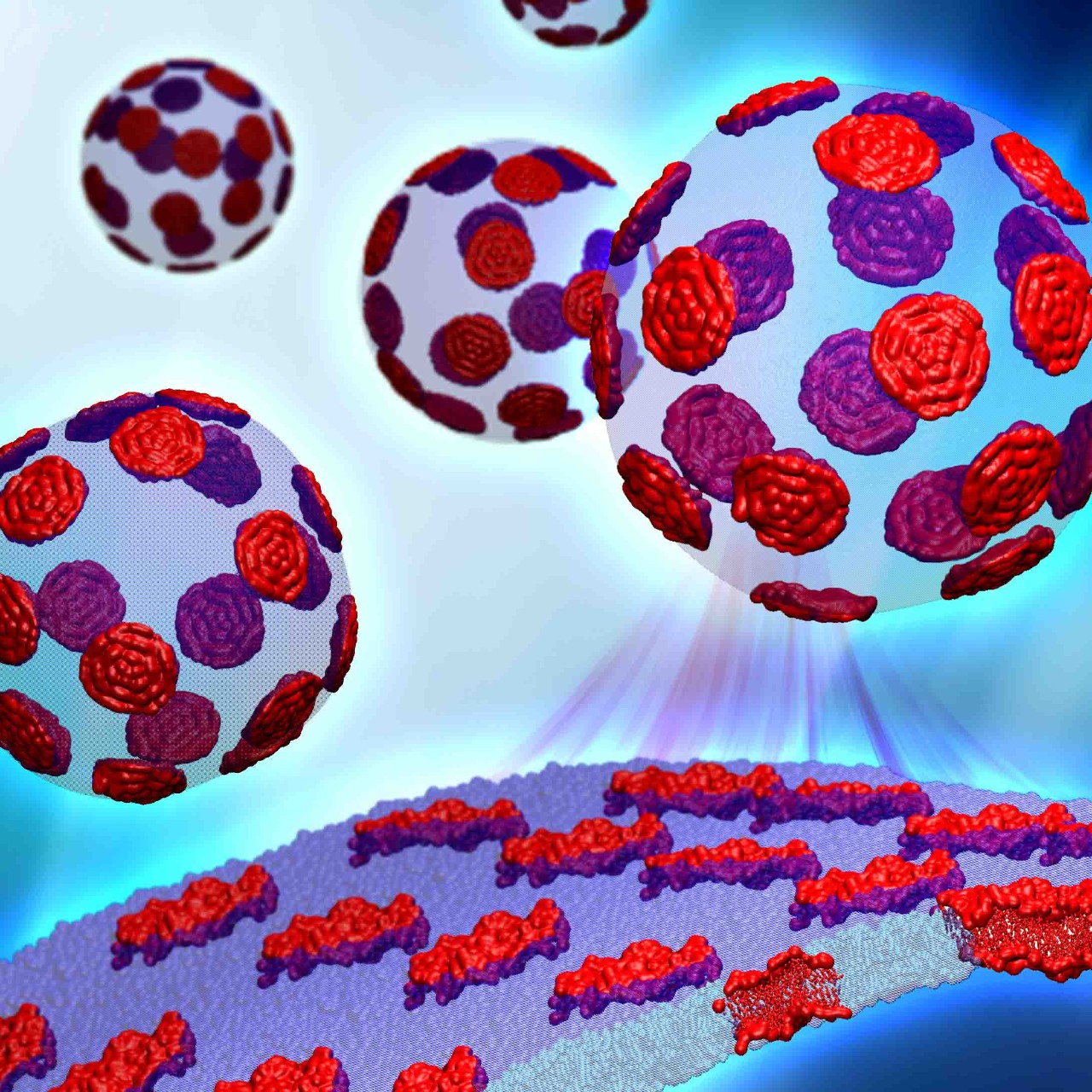 Artist's rendering of lipid rafts in membrane