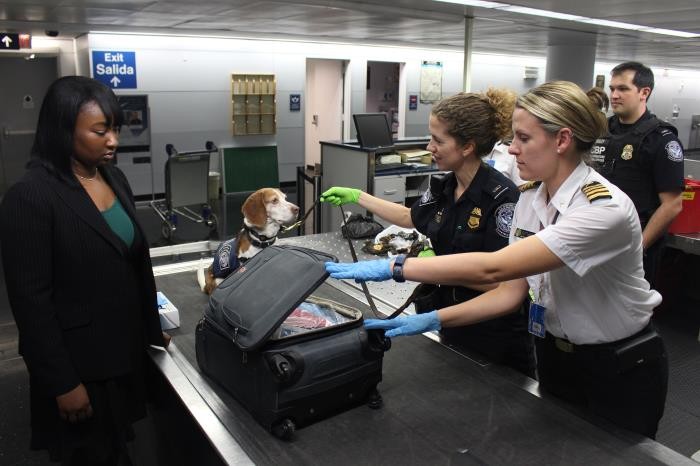 TSA workers inspecting luggage at an airport
