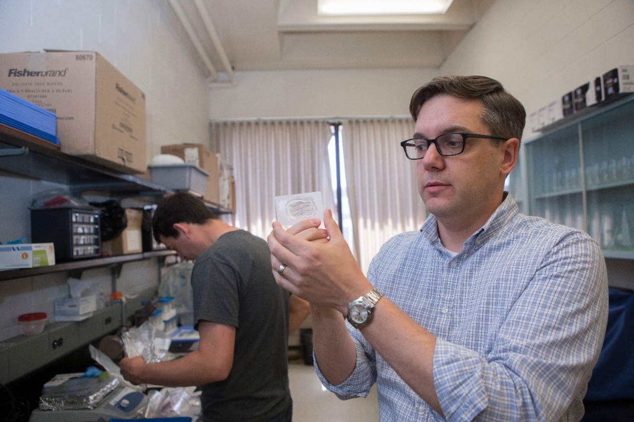 Andrew Czaja holds up a prepared slide in his geology lab.