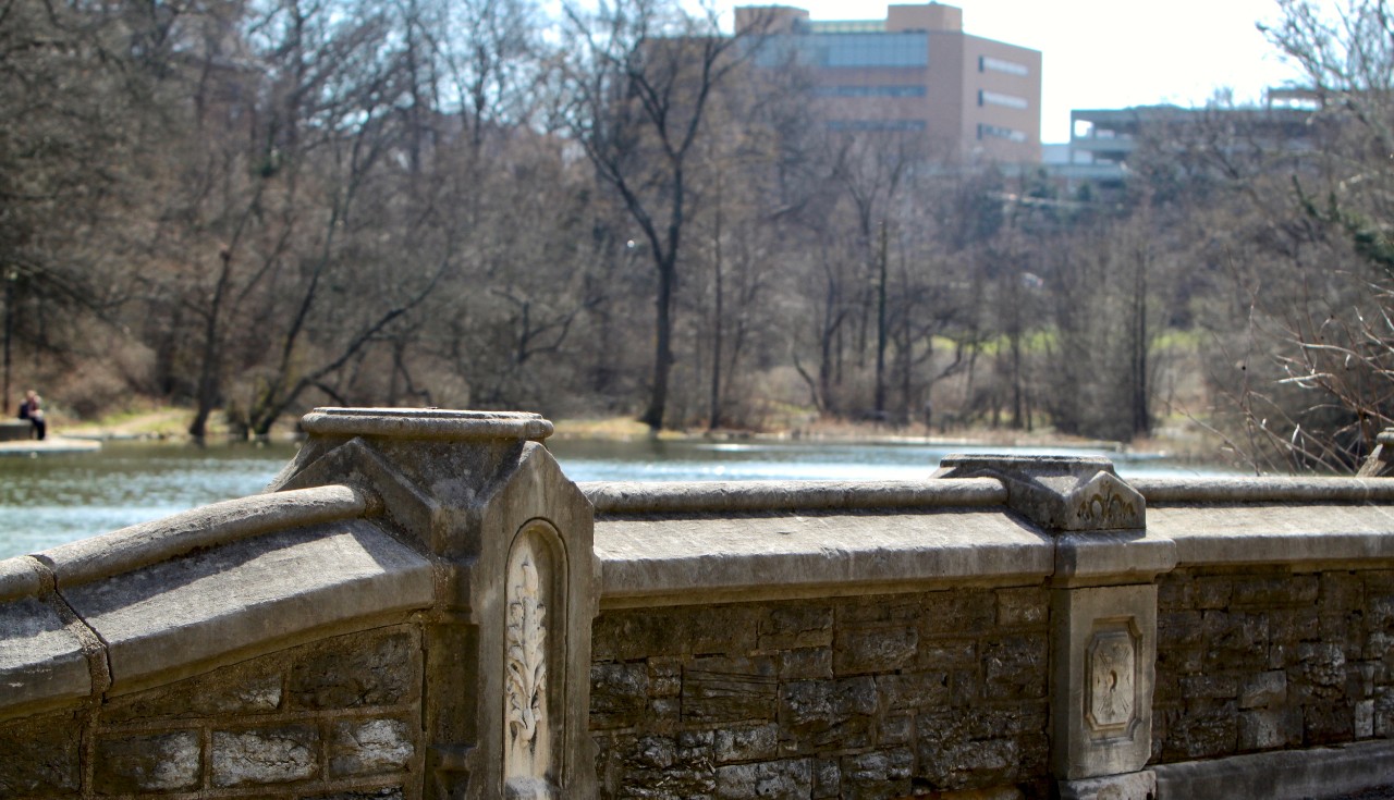 Cincinnati's Burnet Woods bridge and pond with UC campus buildings in background.