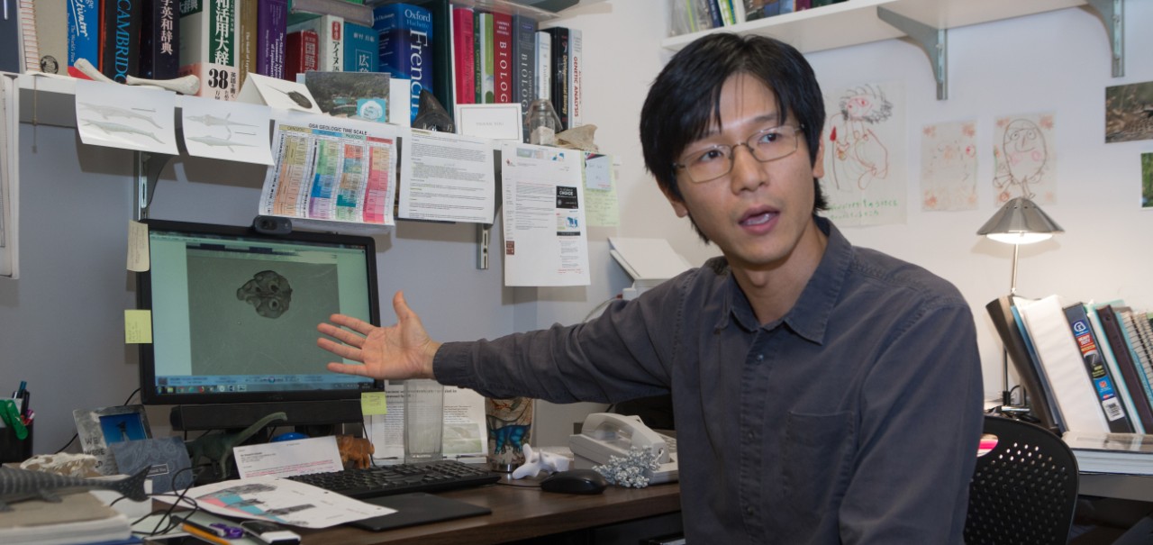 UC assistant professor Takuya Konishi gestures to an image of a mosasaur skull on his computer in his office.