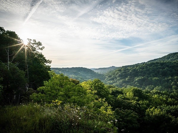 The sun peeks behind trees at the Edge of Appalachia Nature Preserve.