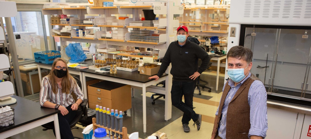 Three people in face masks stand in a biology lab.