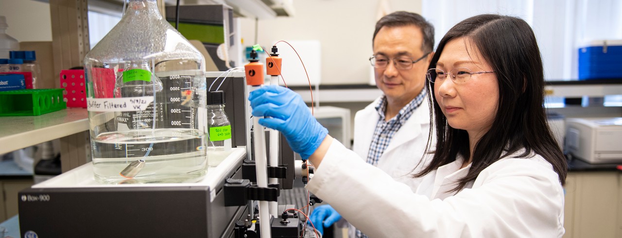 Jie Qu, PhD, is shown with Min Liu, PhD.