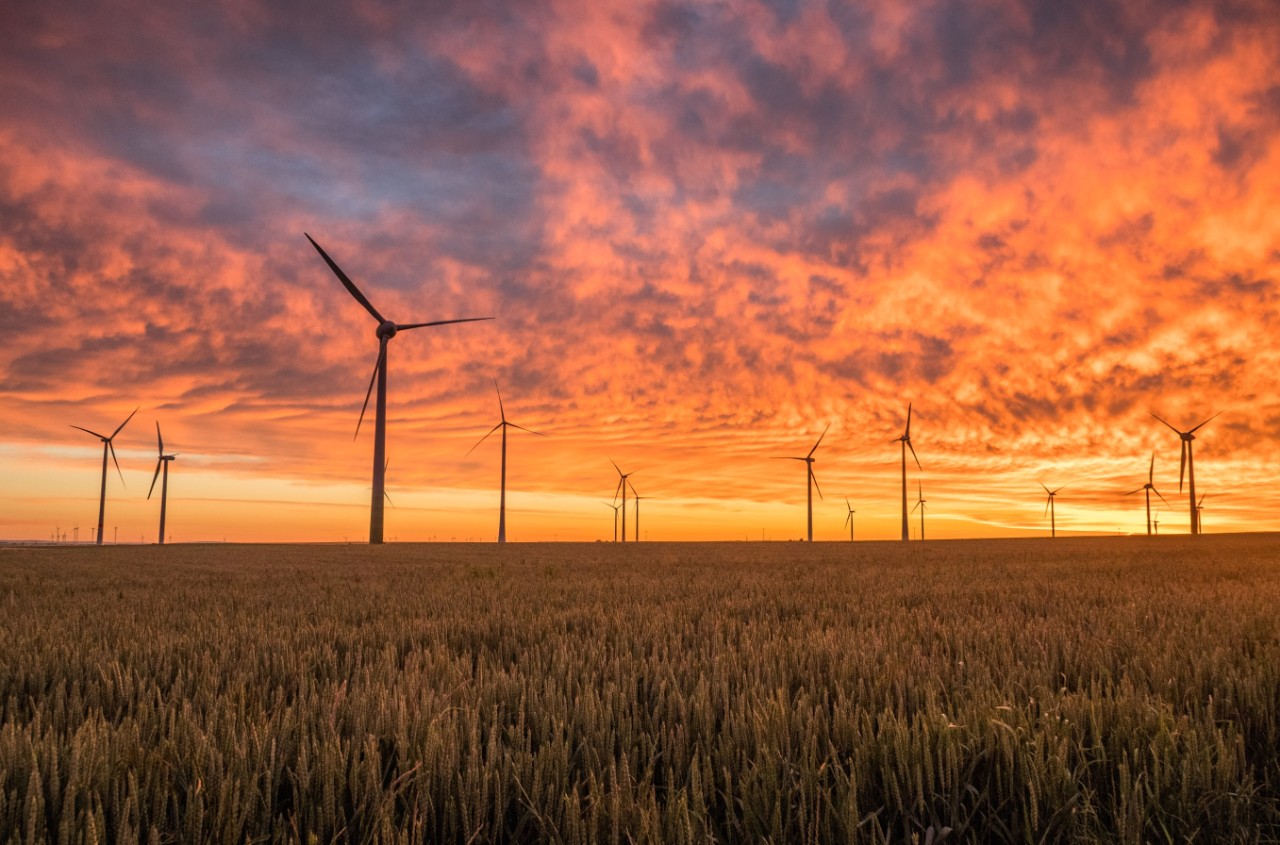 Windmills dot a meadow in front of a golden sunset or sunrise.