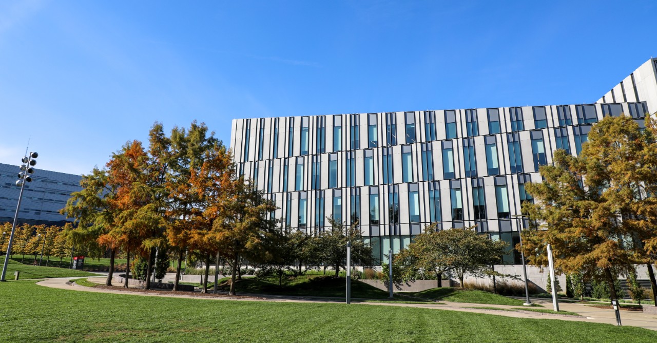 A building lit by the sun with trees and a walkway in front of it.