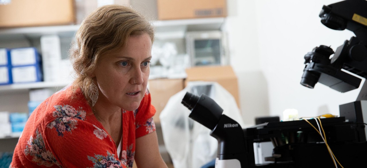 Anne Rowe looks intently at a microscopic lab sample projected on a screen.