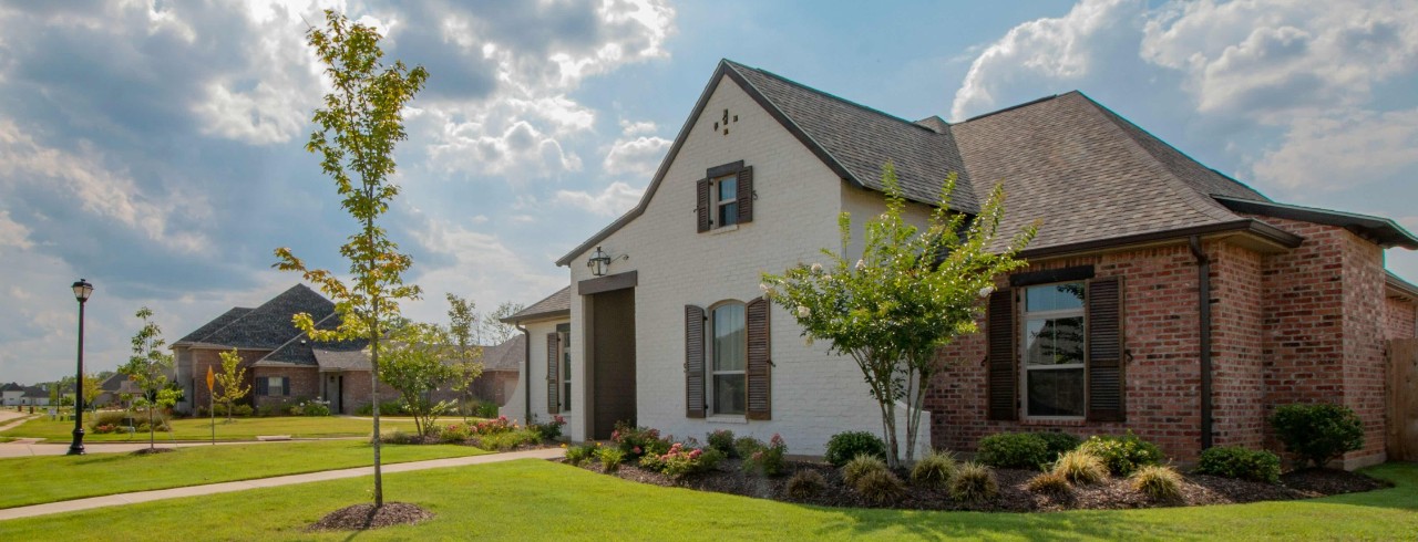 House with a tree and flowers