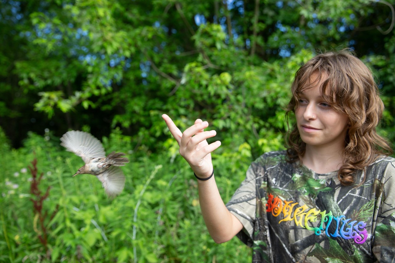 Naomi Monroe releases a bird after banding.