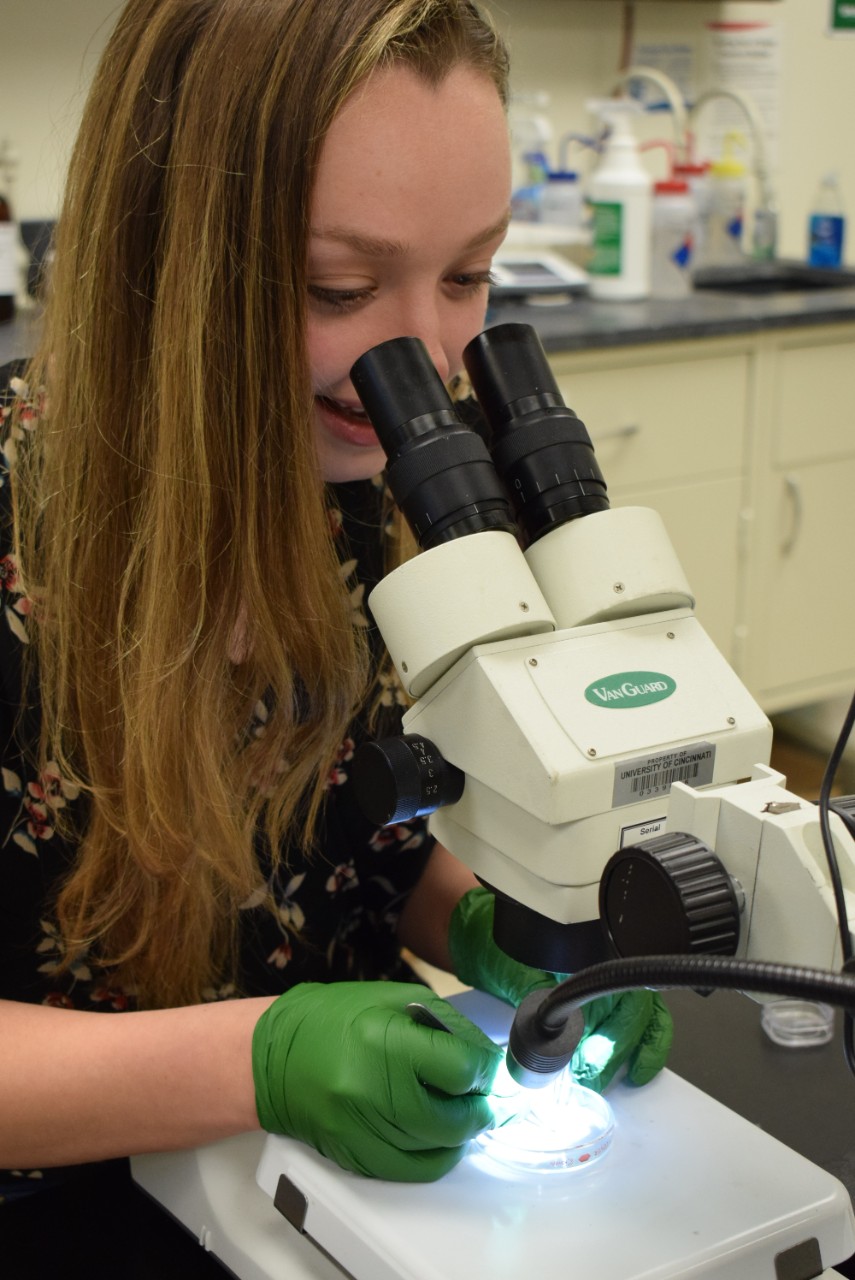 Katherine Schlaak looks through a microscope. 