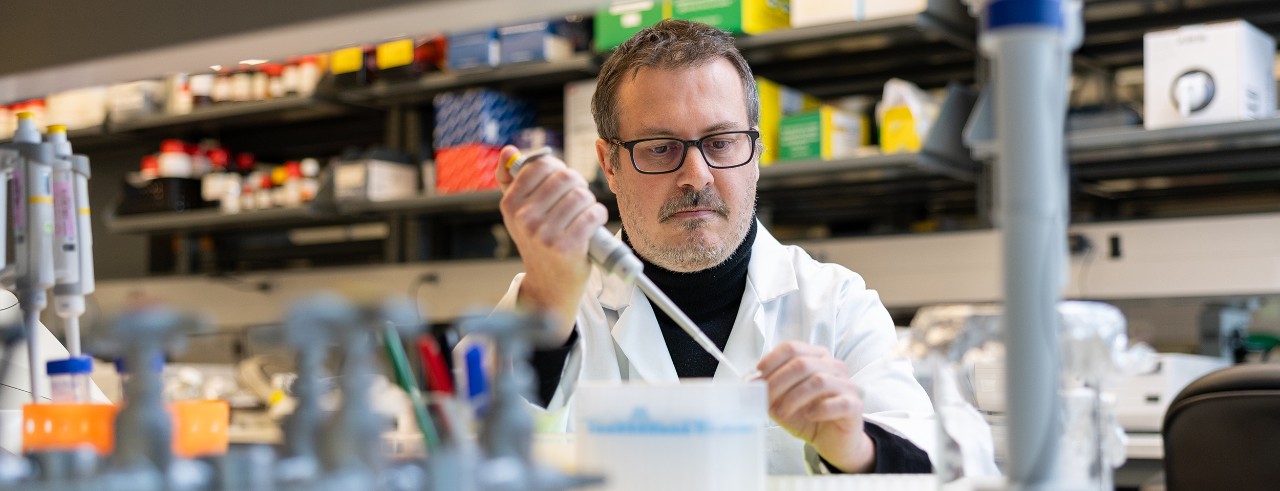 Temugin Berta, PhD, associate professor of anesthesiology, works in his pain research lab in the College of Medicine.