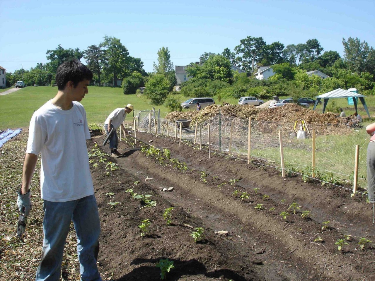 View of an urban farm. Photo/Unsplash