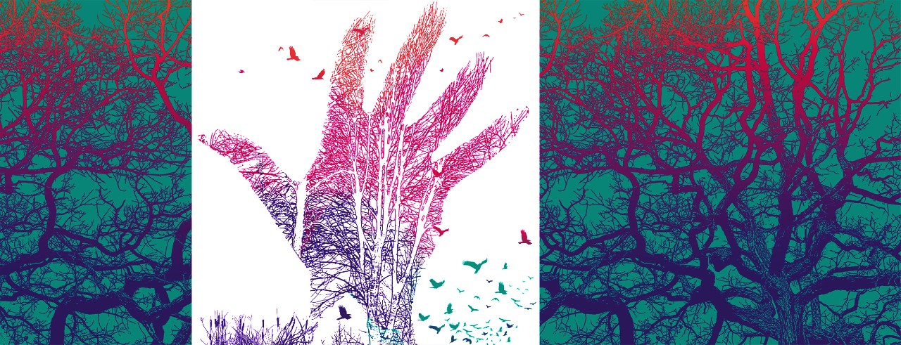 Dark Sisters promotional graphic