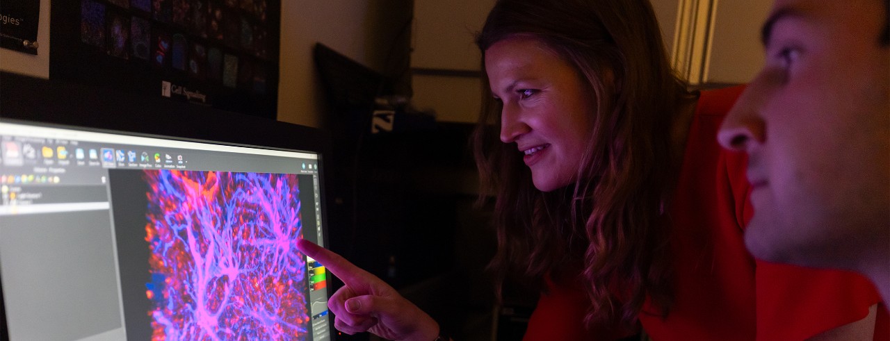 Two researchers look at a computer monitor displaying an image of astrocytes dyed purple and pink