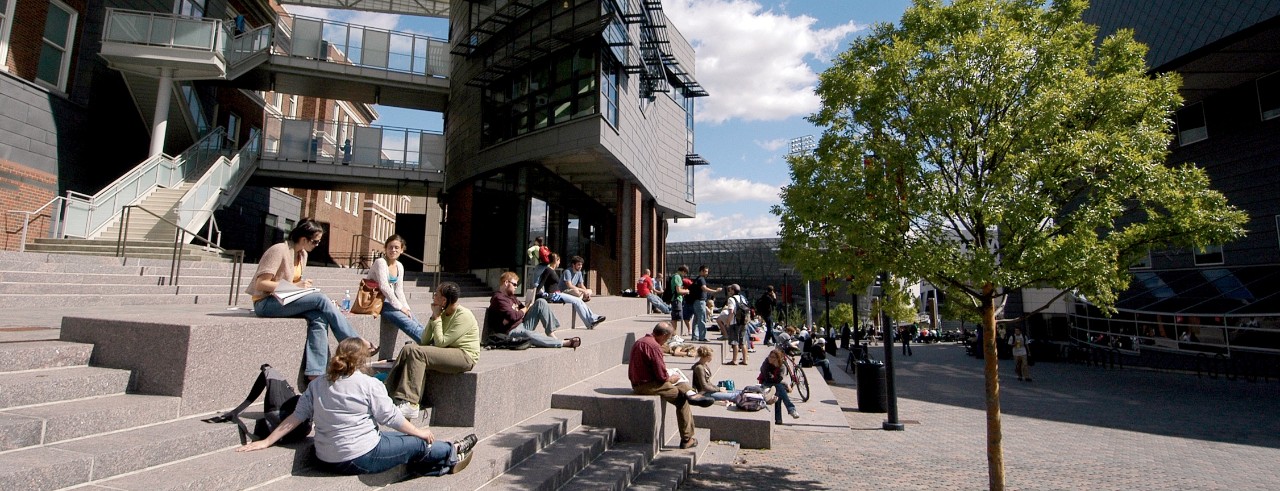 Image of Main Street on UC's campus