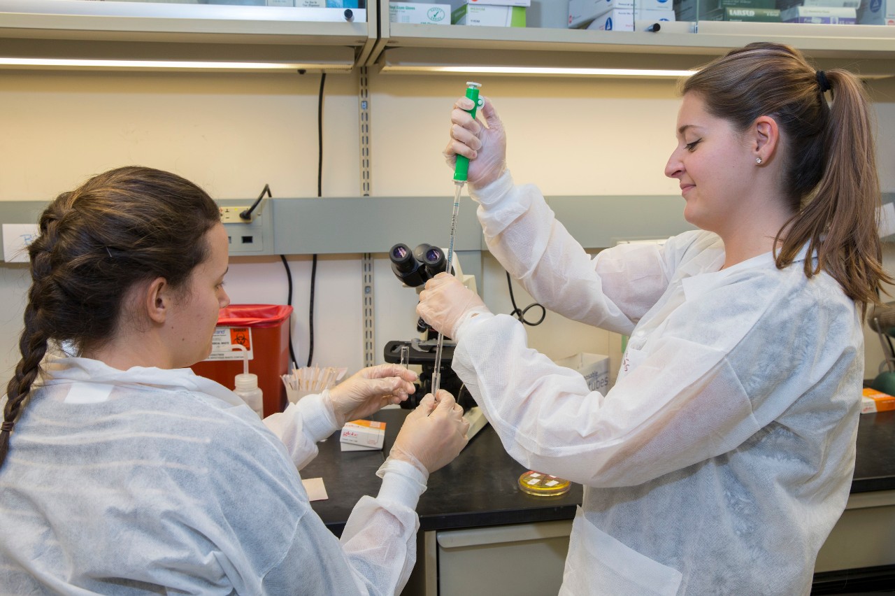 Two UC students working in a lab