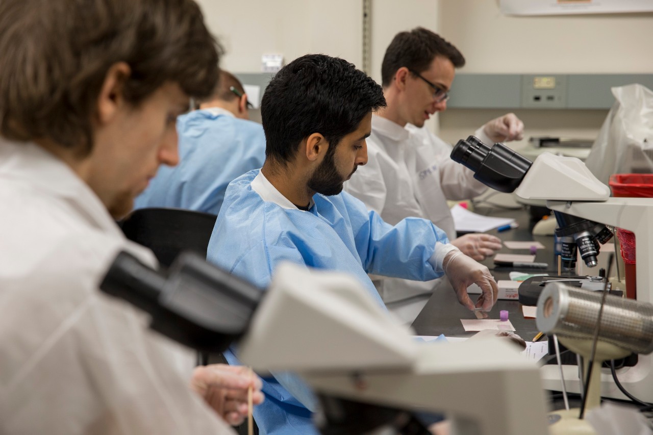 UC students working with microscopes in a lab. 