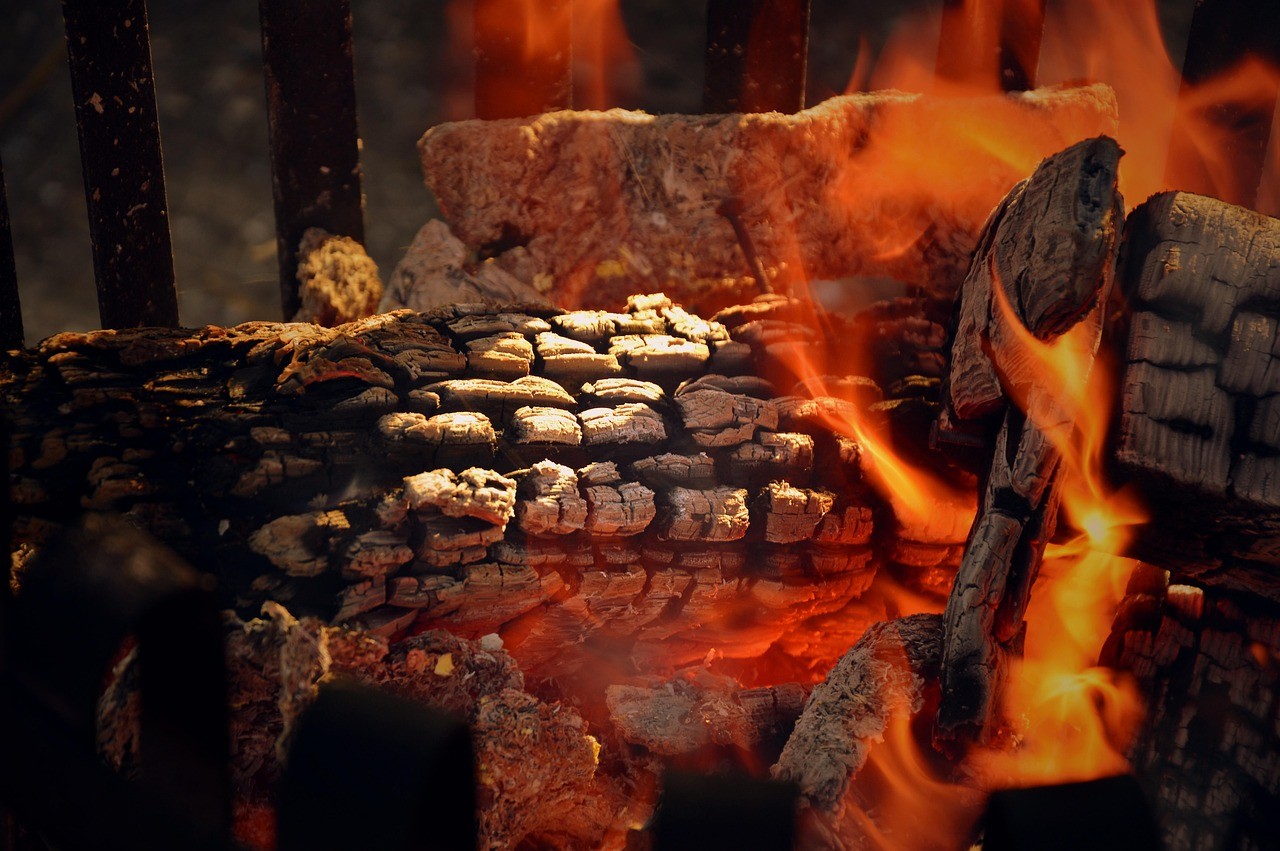 Campfire in the woods at night.