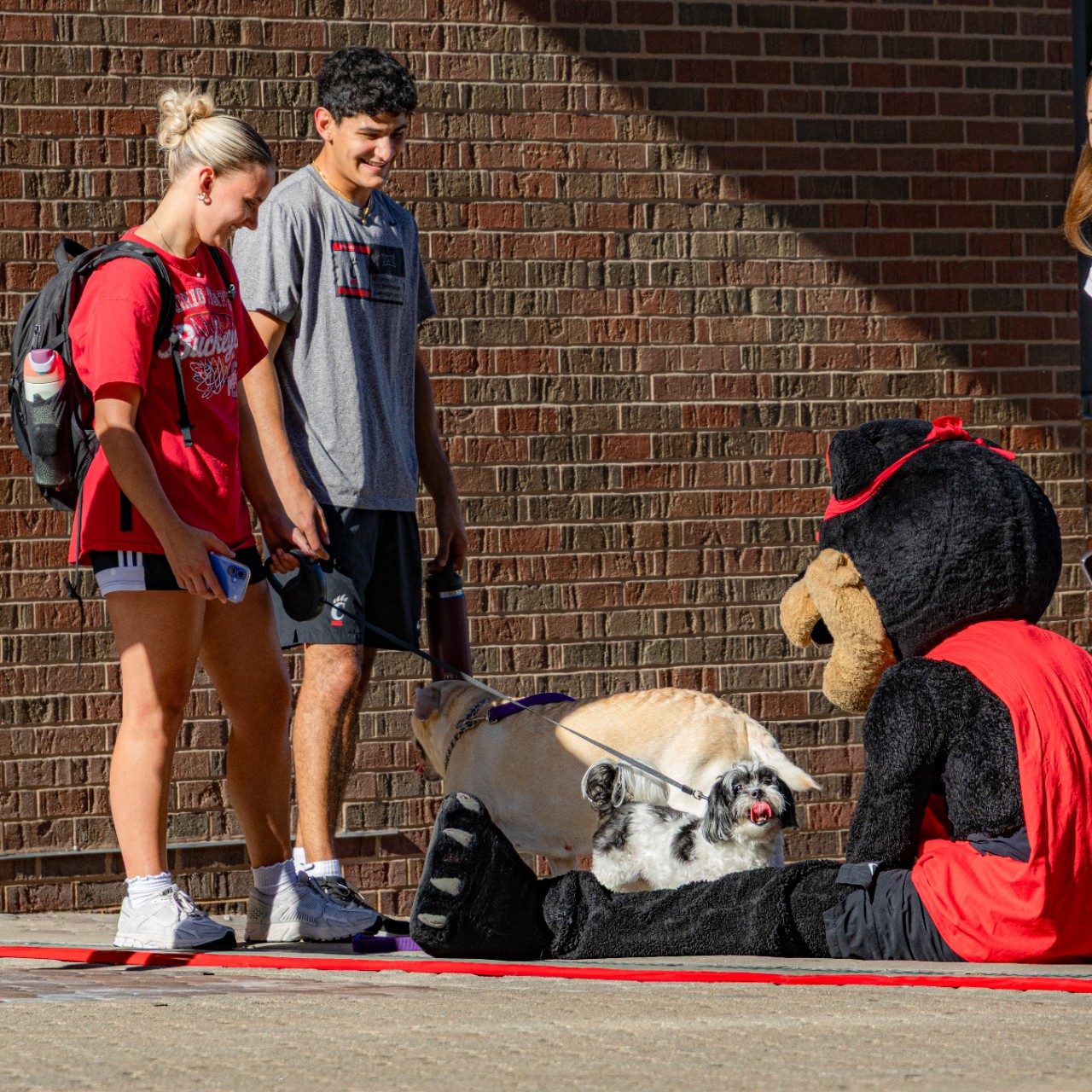 Family Weekend events around campus. The bearcat plays with a dog along Main St.