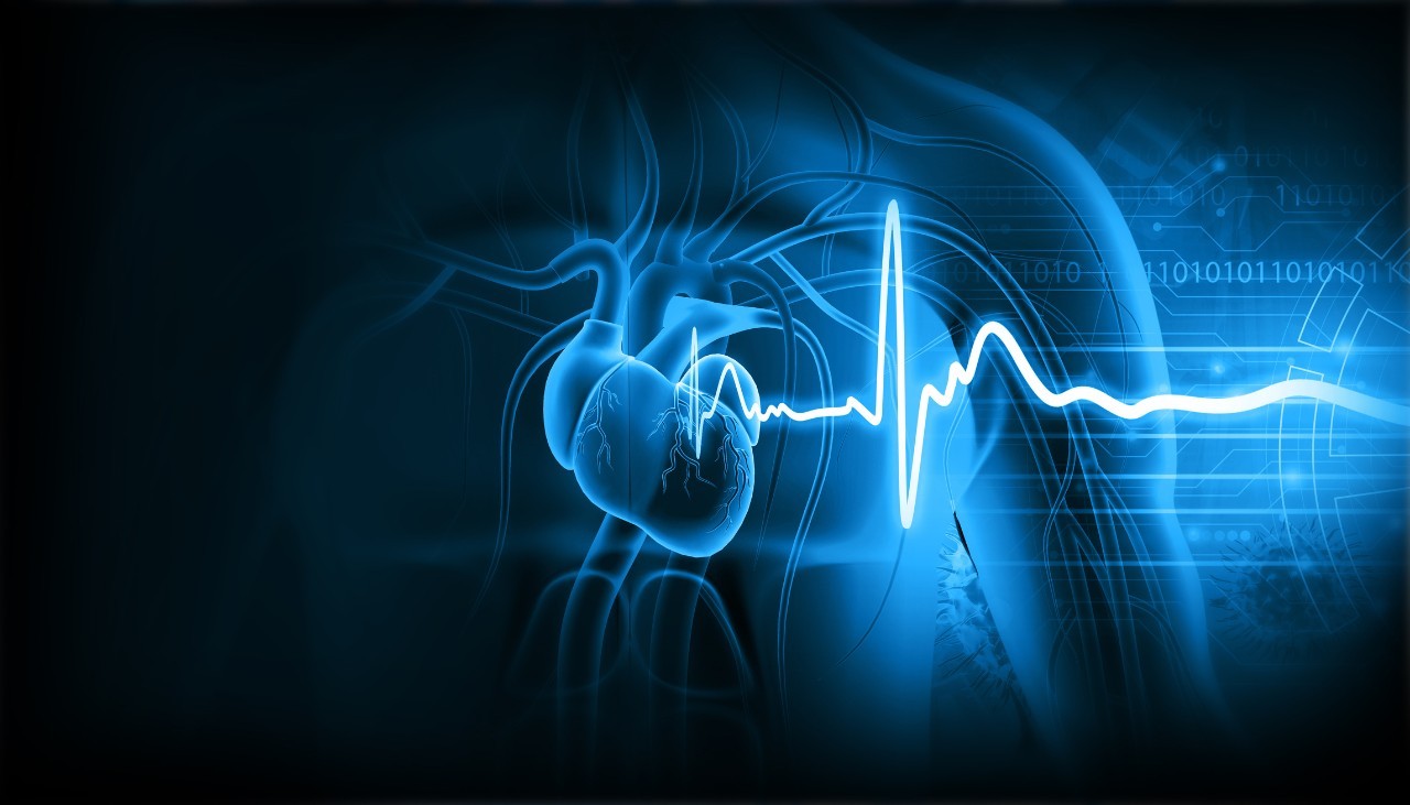 Illustration of human heart with ECG graph