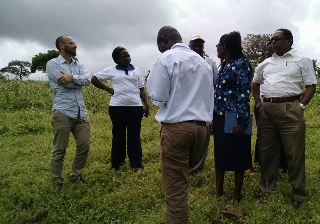 A group of people stand talking in a green field.
