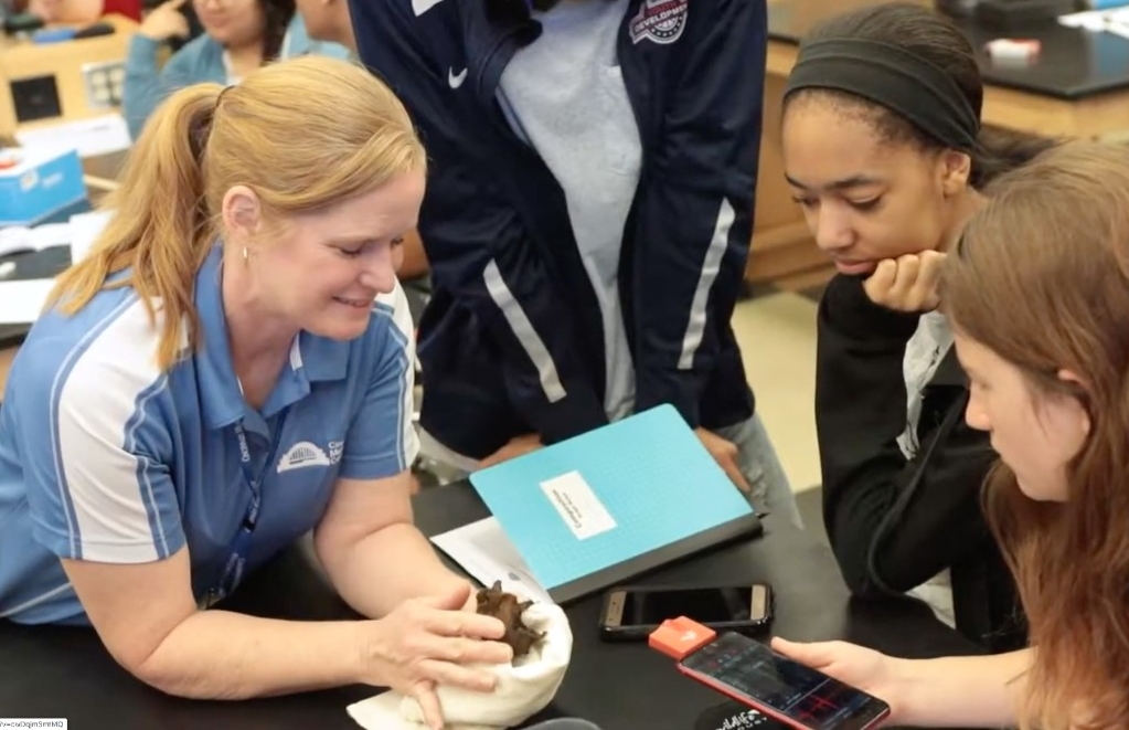Students get a closer look at a bat.