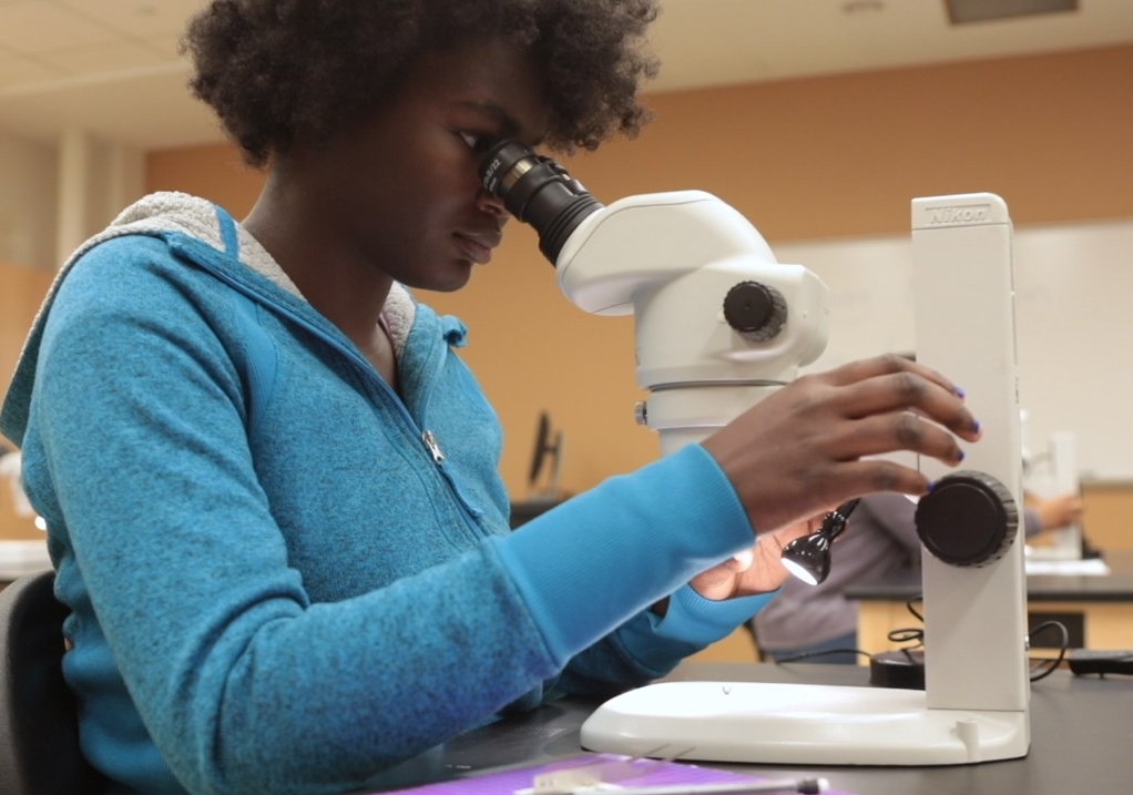 A student looks into a microscope.