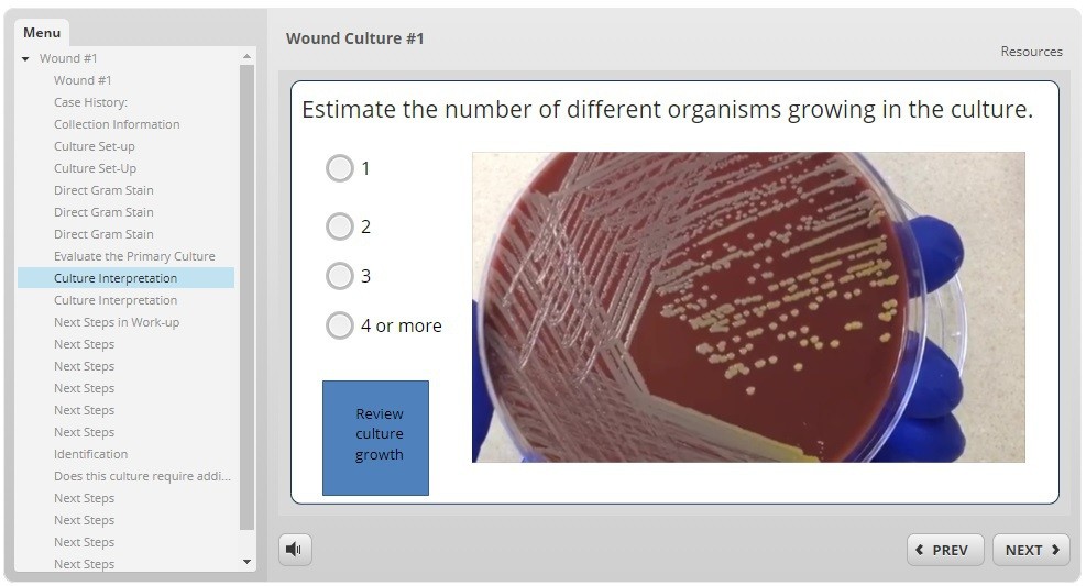 Sample online materials from the College of Allied Health Sciences