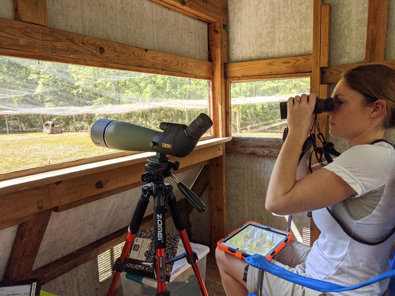 Annemarie van der Marel looks through bincoulars with a tablet on her lap and a spotting scope mounted on a tripod in front of her.