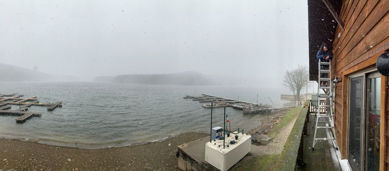 marina on lake with siding where bats live