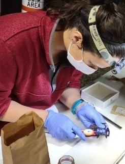 student tagging a bat