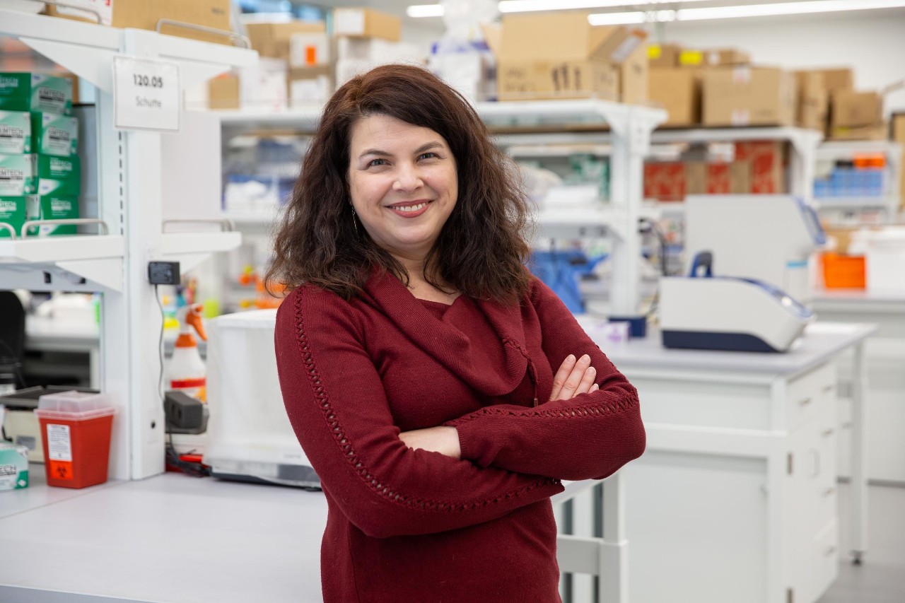 231207aSchutte054.CR2, 231207aSchutte054.CR2 231207aSchutte054.CR2
UC biomedical engineering professor Stacey Schutte has a new study with the College of Medicine examining potential new treatments for uterine fibroids.