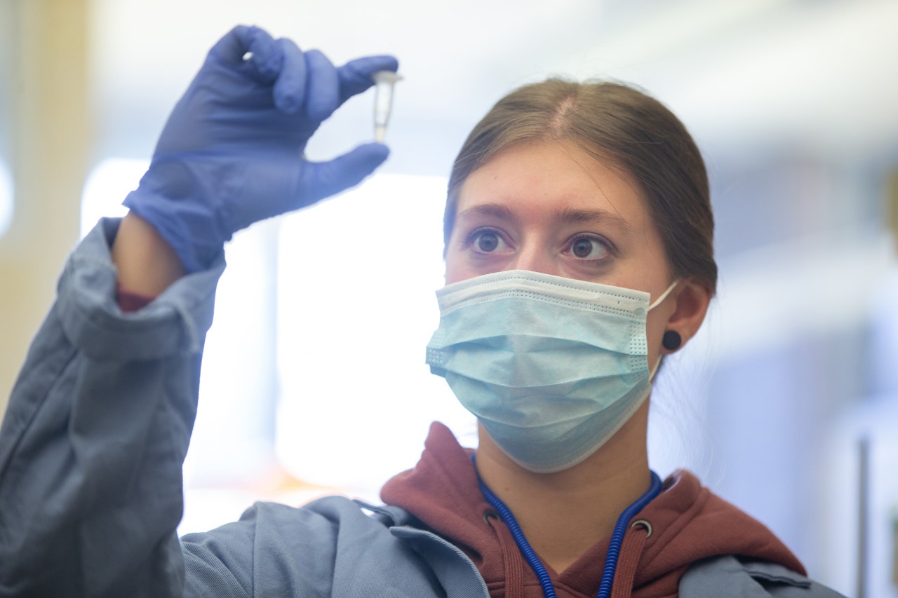 Students and researchers in chemistry and biology teamed up to unlock genetic secrets of female mosquitoes in three species that kill millions of people around the world each year. UC's findings hold promise to find the next generation of mosquito control. Dr. Joshua Benoit, post-doc Melissa Kelley, and student Melissa Uhran at work.
